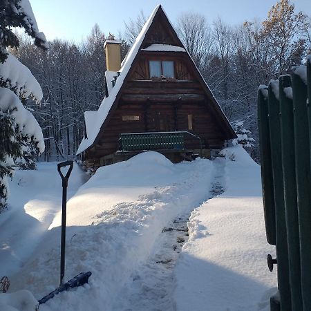 Kosarzowka Villa Bielsko-Biala Luaran gambar