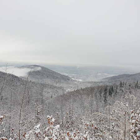 Kosarzowka Villa Bielsko-Biala Luaran gambar