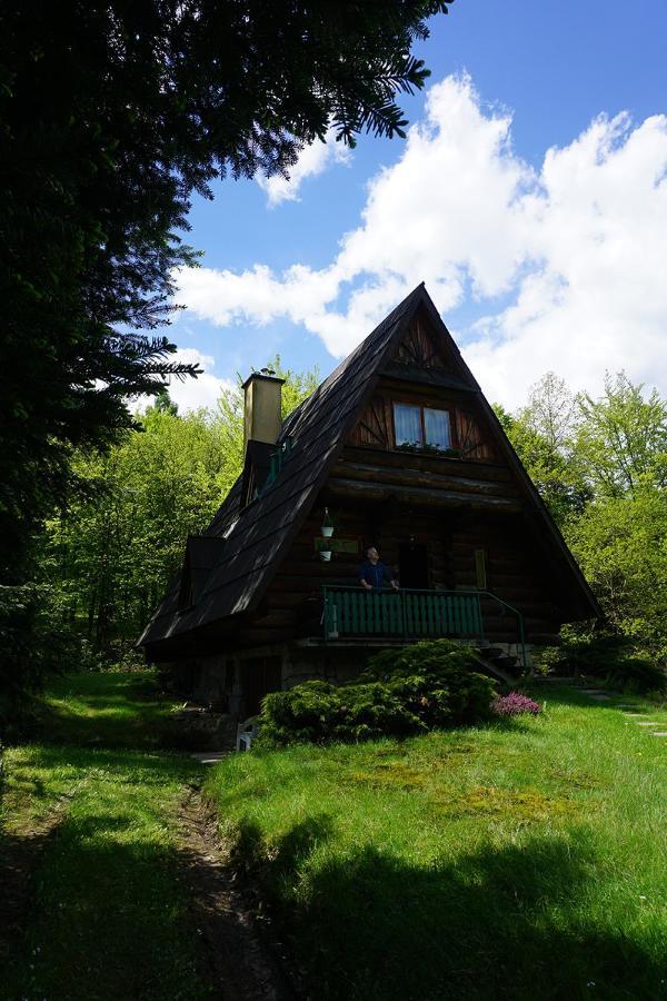 Kosarzowka Villa Bielsko-Biala Luaran gambar