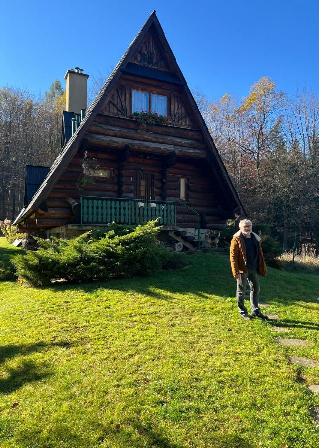 Kosarzowka Villa Bielsko-Biala Luaran gambar